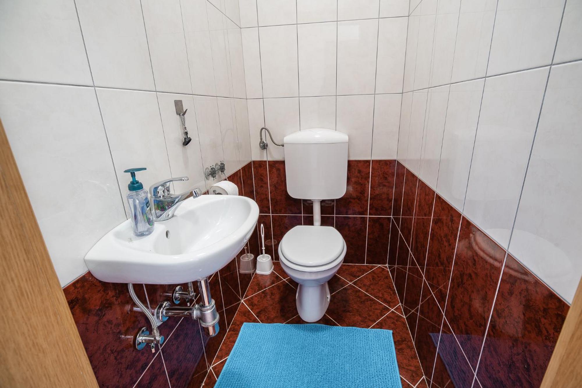 Apartment Zelimlje Škofljica المظهر الخارجي الصورة